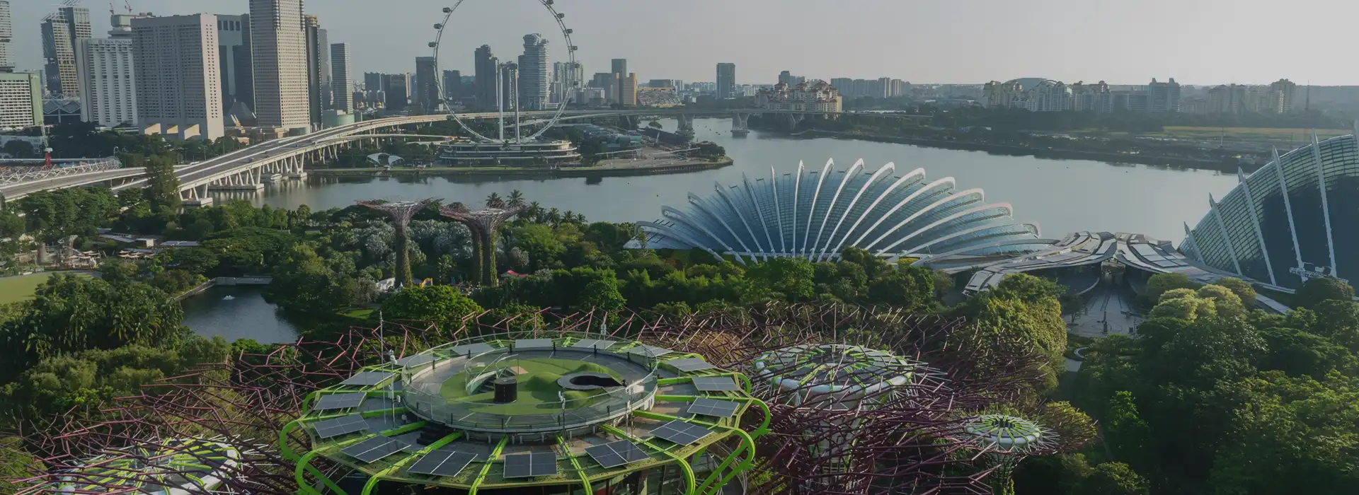 Leading solar energy company in Singapore